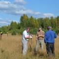 Порядка 100 сосен посадили вдоль общественных зон строящегося посёлка в Череповецком районе