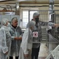 В Череповце будут производить более 5, 5 тысяч тонн орешек со сгущёнкой, круассанов, пряников и других кондитерских изделий ежегодно
