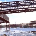 В Индустриальном парке «Череповец» готовится площадка для нового предприятия в сфере деревообработки