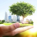 Приглашаем предприятия к участию в областном конкурсе "За вклад в сохранение окружающей среды"